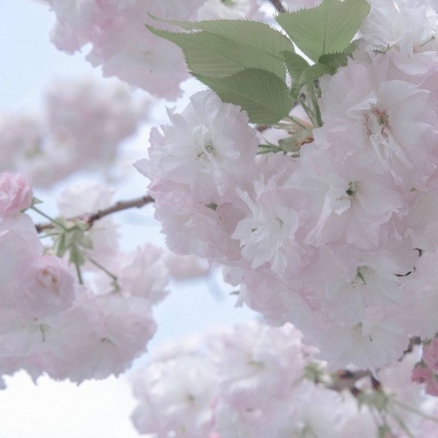 兽设场景透视教程福瑞群